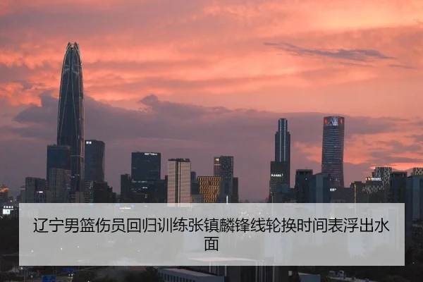 辽宁男篮伤员回归训练张镇麟锋线轮换时间表浮出水面
